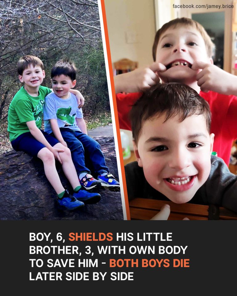 Boy, 6, Shields His 3-Year-Old Brother in Attempt to Save Him, But Tragically Both Die Later Side by Side