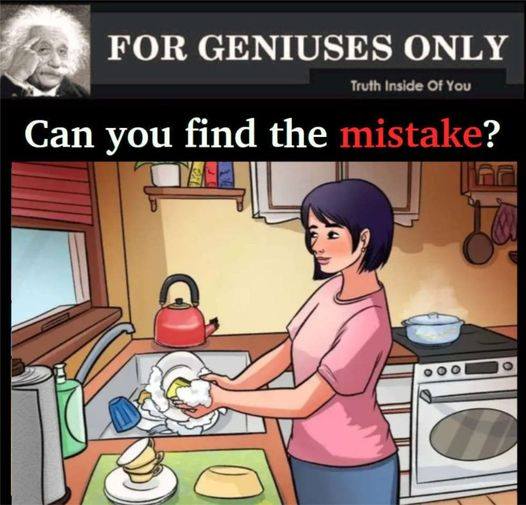 RIDDLE: Spot The Mistake In The Kitchen